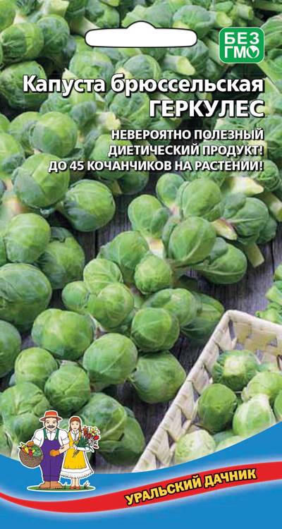 Капуста брюссельская Геркулес (поздняя, на растении 30 кочанчиков, по 15-20 г)