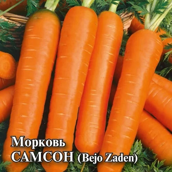 Морковь Самсон 0,5 г