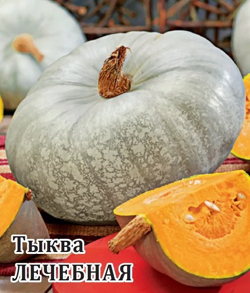 Тыква Лечебная 1 г