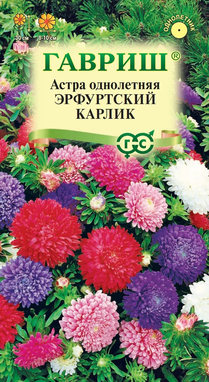 Астра Эрфуртский карлик, однолетняя (смесь) 0,3 г