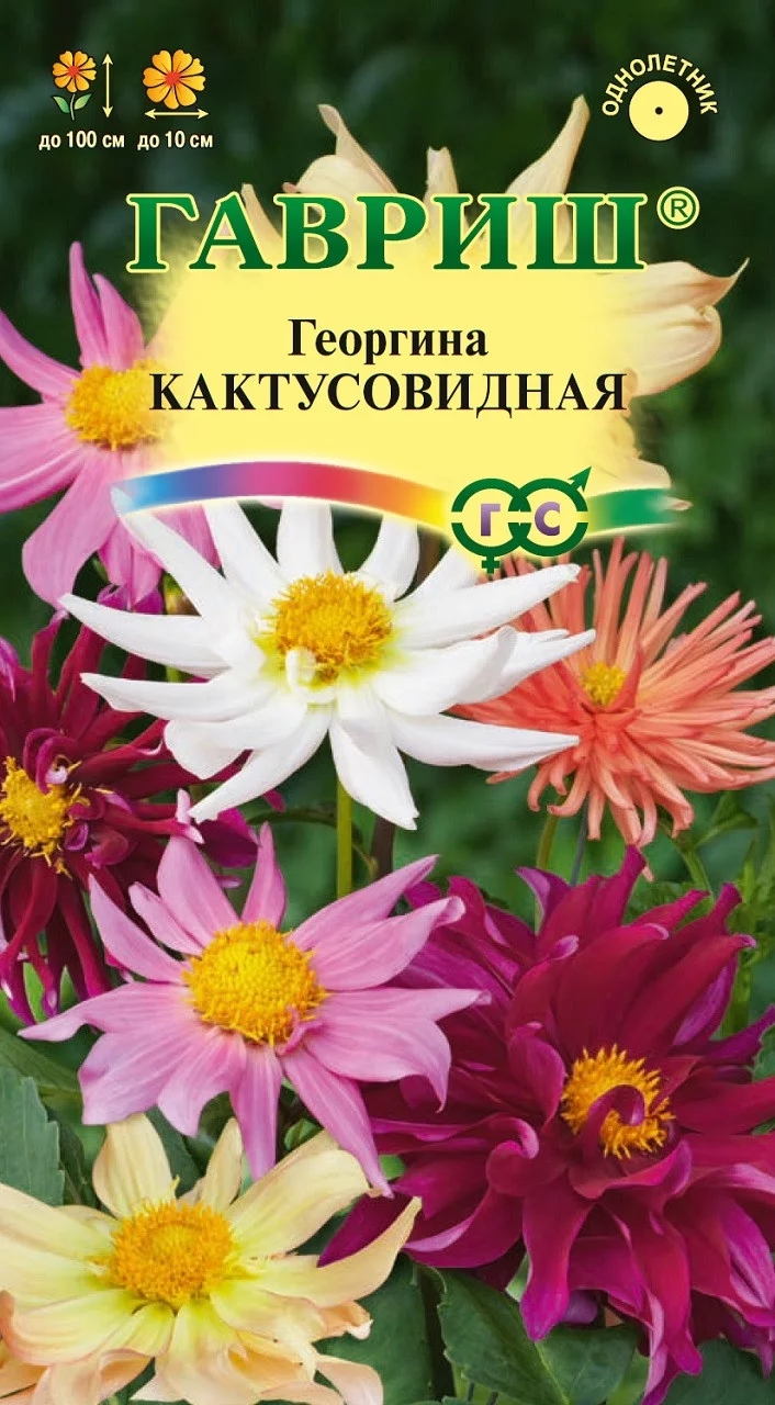 Георгина Кактусовидная, смесь 0,2 г