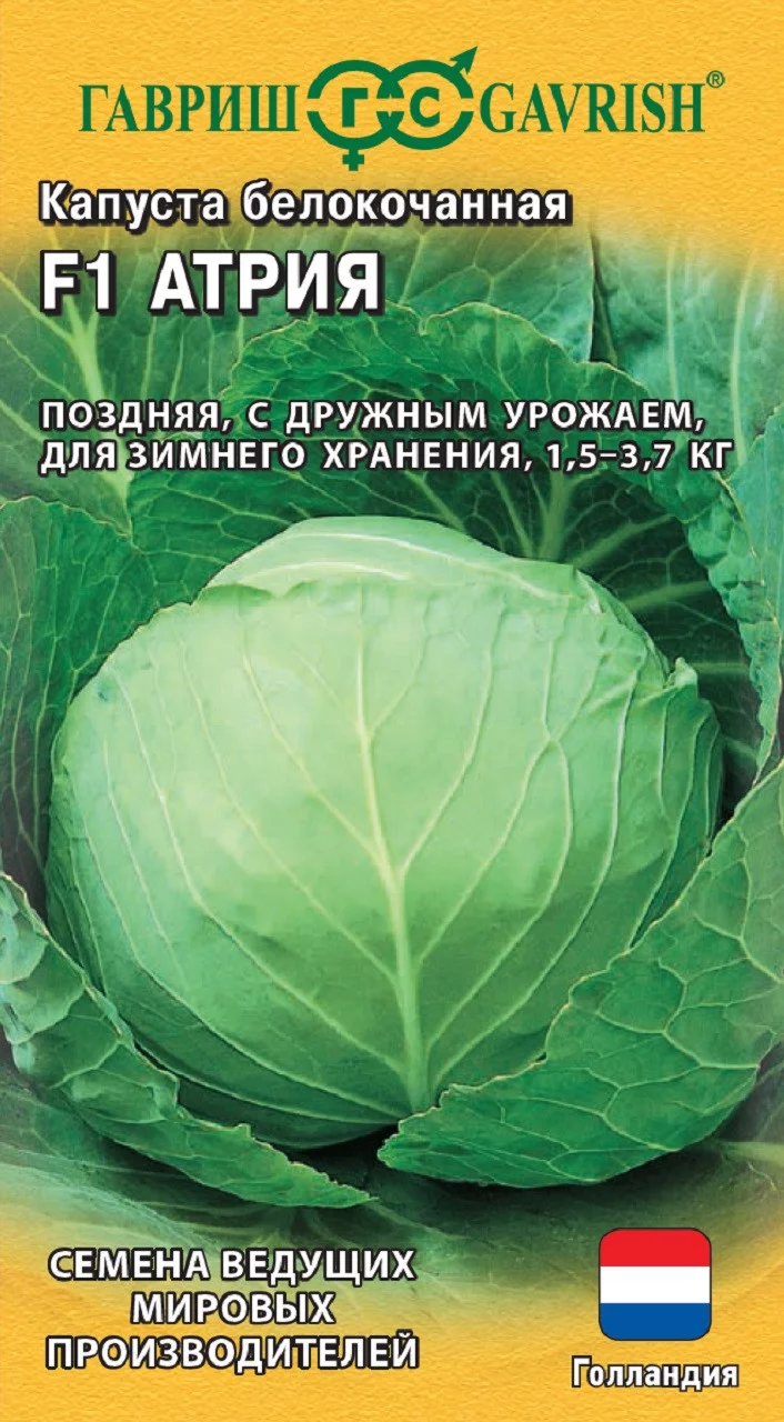 Капуста белокоч. Атрия F1 10 шт (для квашения Голландия)