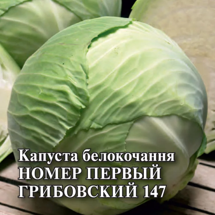 Капуста белокоч. №1 Грибовский 147 0,5 г ранняя DH