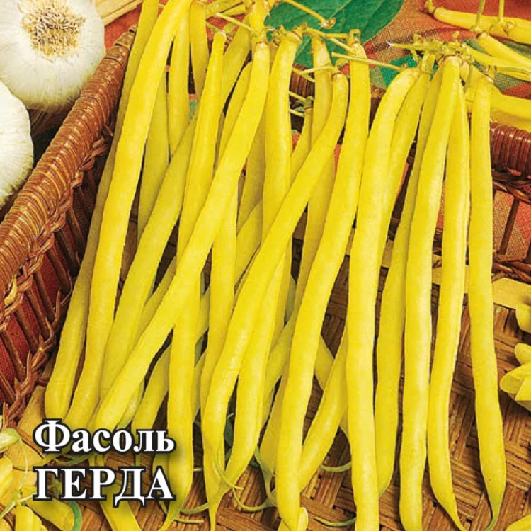 Фасоль Герда, вьющаяся, желтая, 5 г автор