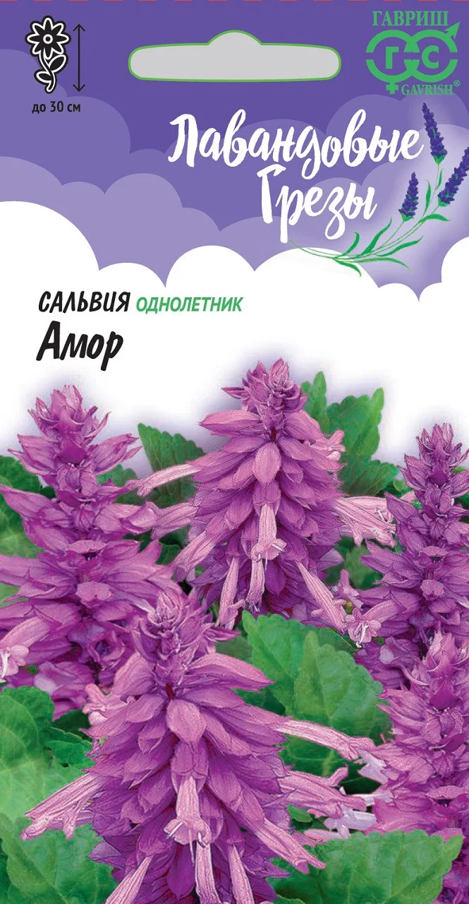 Сальвия Лавандовая Амор* 4 шт серия Лавандовые грёзы