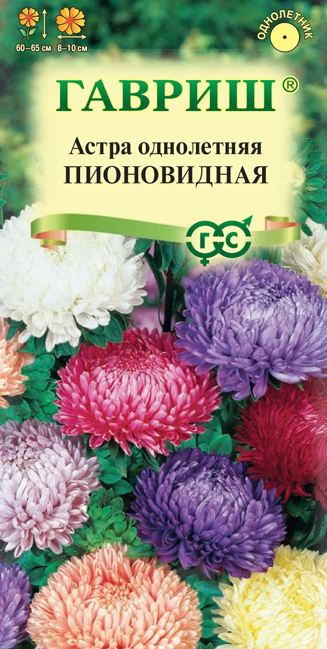 Астра Пионовидная, однолетняя, смесь 0,3 г