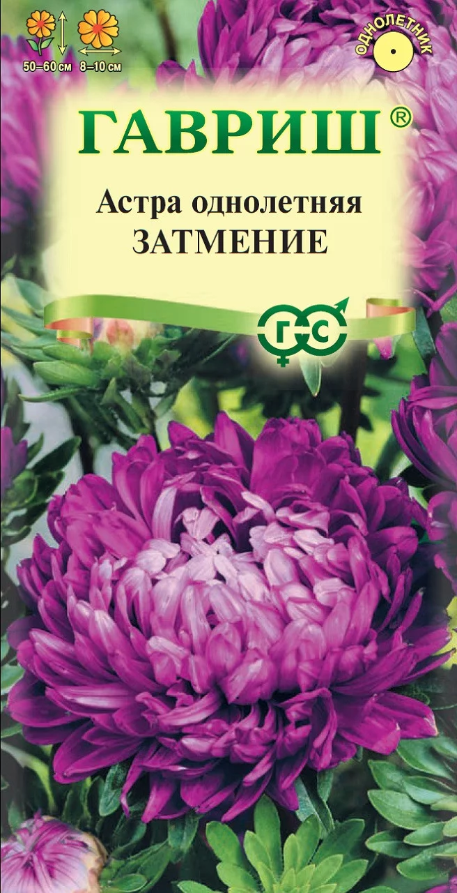 Астра Затмение, однолетняя (пионовидная фиолет.) 0,3 г