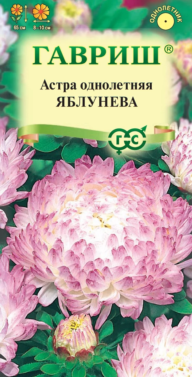 Астра Яблунева, однолетняя (пионовидная яблоневый цвет) 0,3 г DH