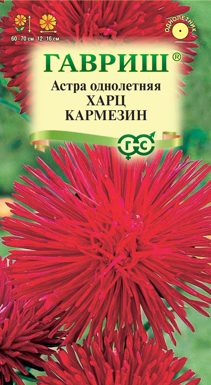 Астра Харц Кармезин, однолетняя (тонкоигольчатая темно-красная), 0,3 г DH