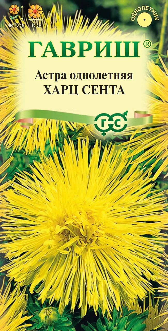 Астра Харц Сента, однолетняя (тонкоигольчатая желтая) 0,3 г