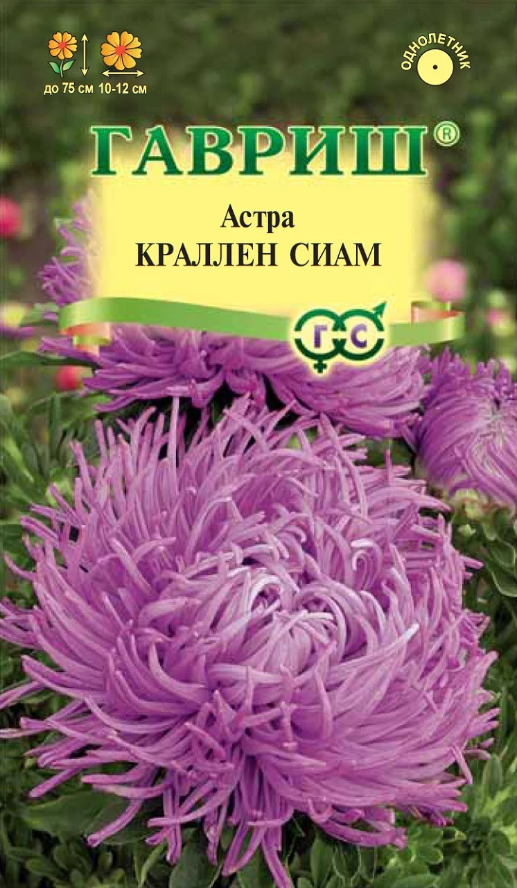 Астра Краллен Сиам, однолетняя (коготковая лиловая) 0,3 г DH