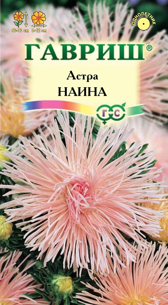 Астра Наина, однолетняя (игольч. роз- кремовая) 0,3 г