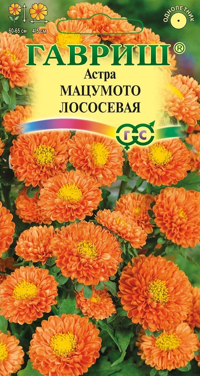 Астра Мацумото, однолетняя (смесь) 0,3 г