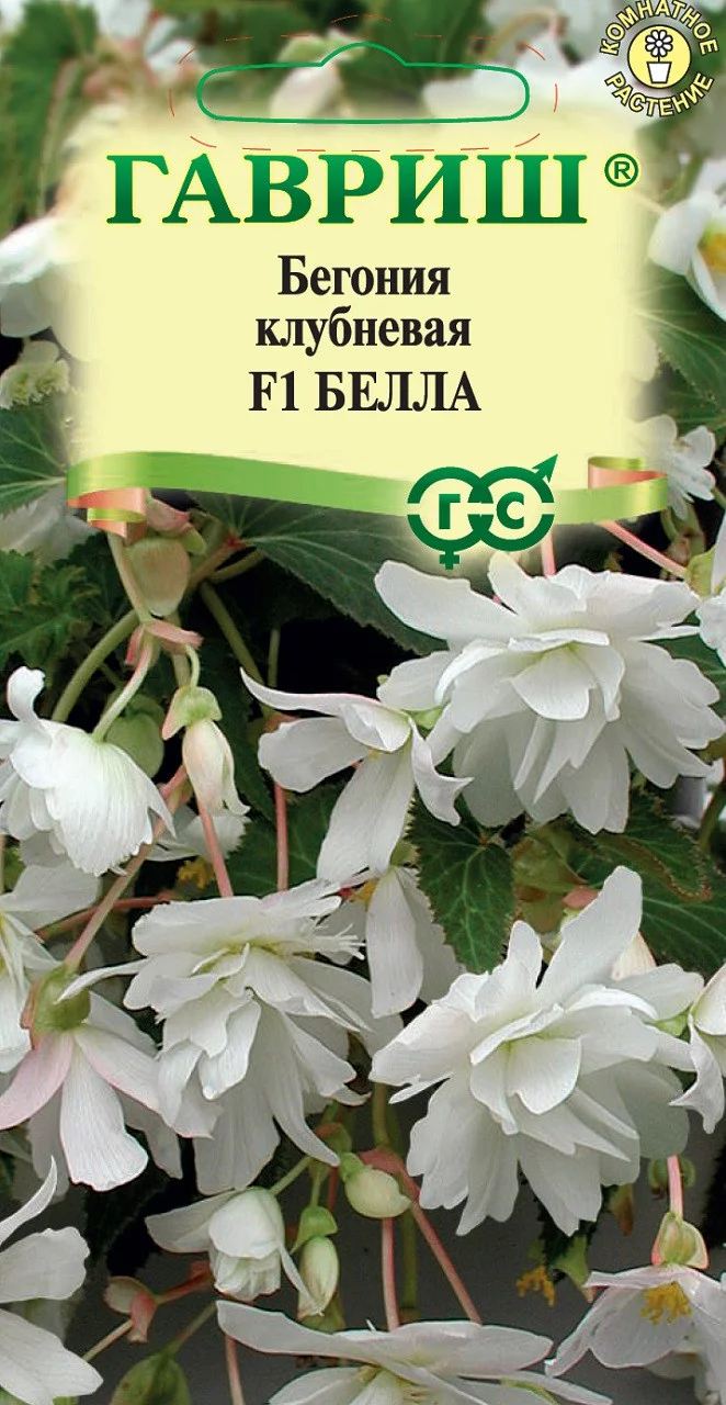 Бегония Белла F1 клубневая, амп. гранул. 5 шт пробирка