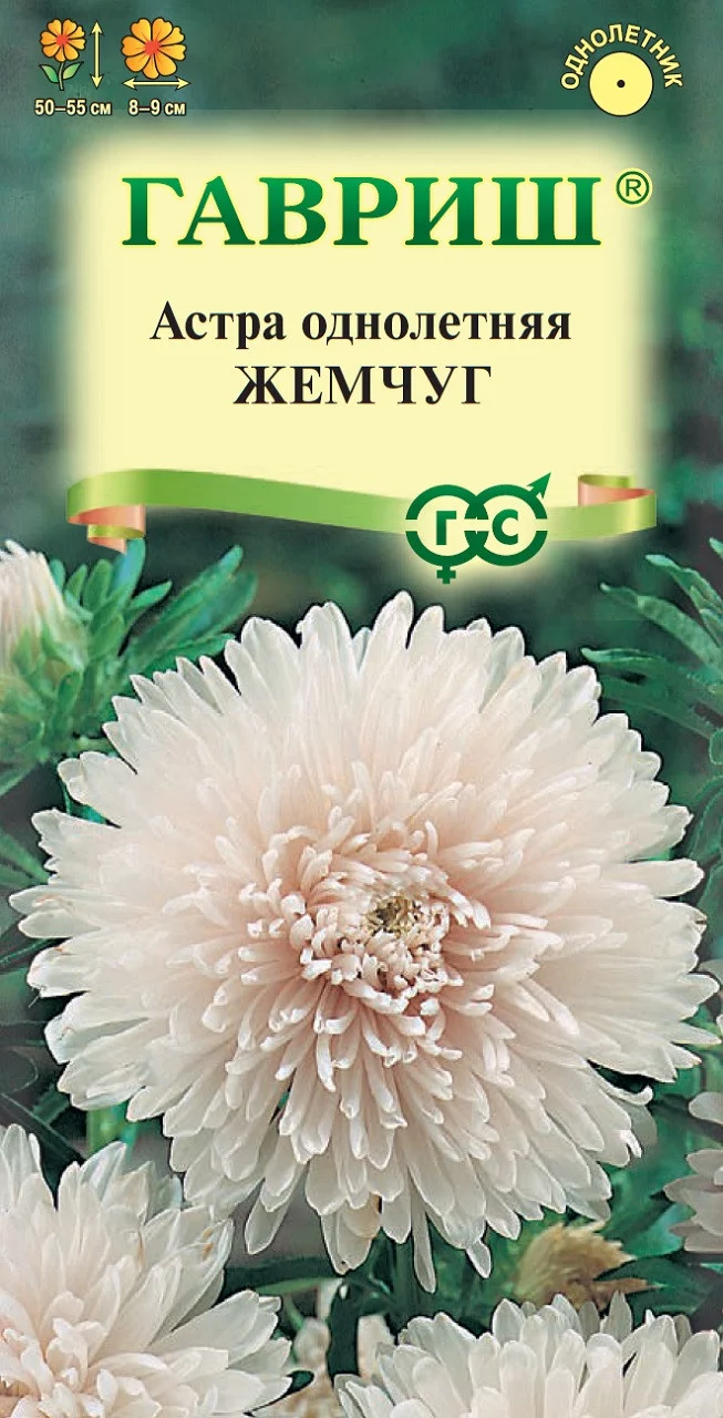 Астра Жемчуг, однолетняя (воронежская лососево-беж.) 0,3 г