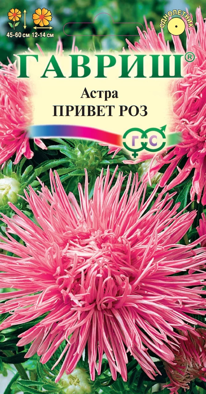 Астра Привет роз 0,3 г, игольчатая