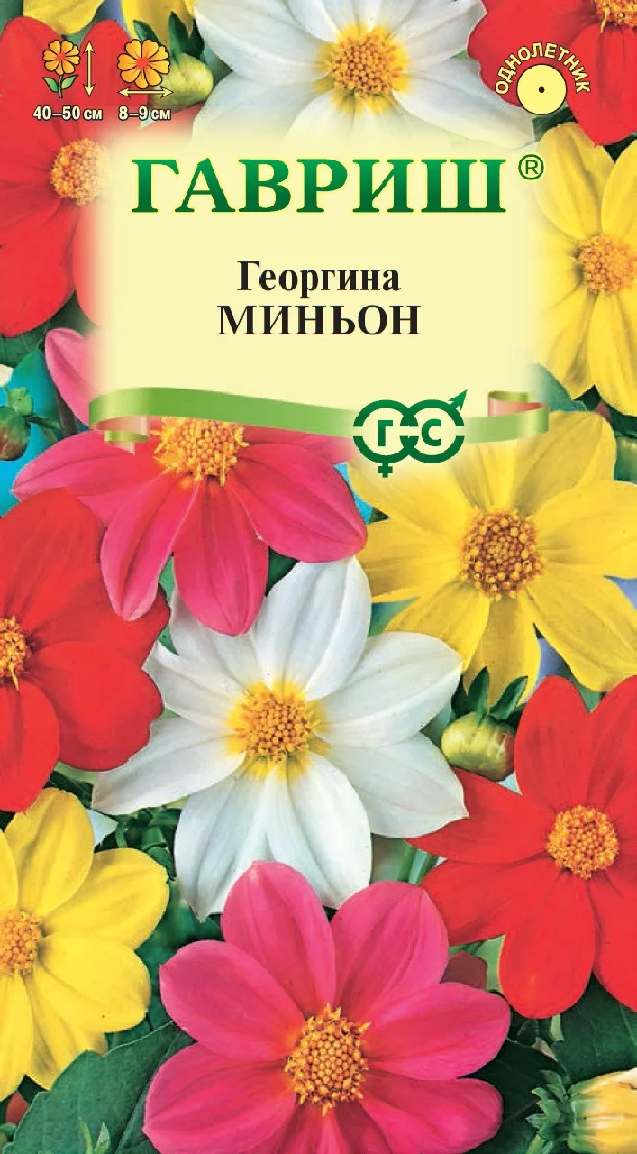 Георгина Миньон, смесь 0,3 г