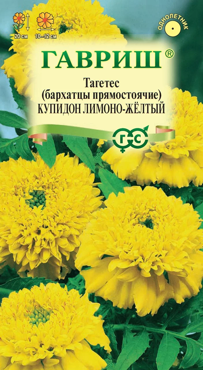 Бархатцы пр. Купидон лимонно-желтый (20 см.) (Тагетес) 0,05 г