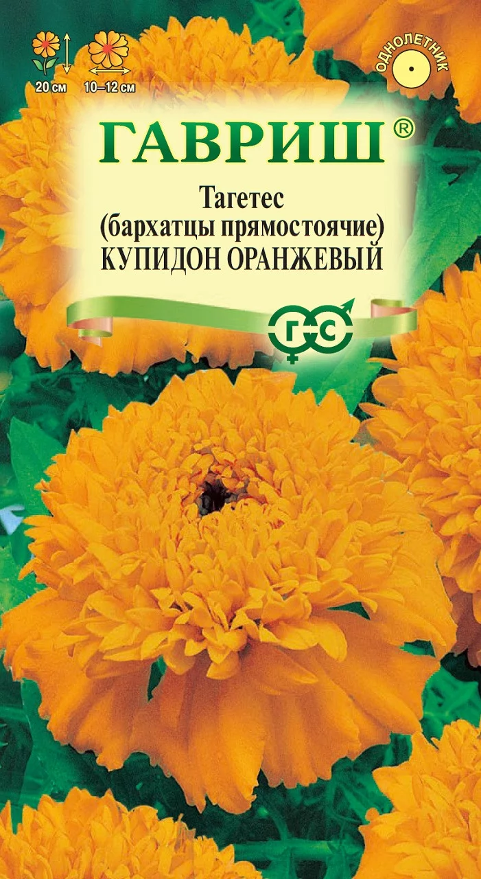 Бархатцы пр. Купидон оранжевый (20 см.) (Тагетес) 0,05 г