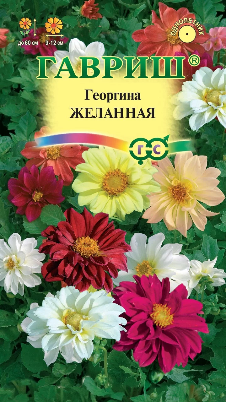 Георгина Желанная, смесь 0,3 г