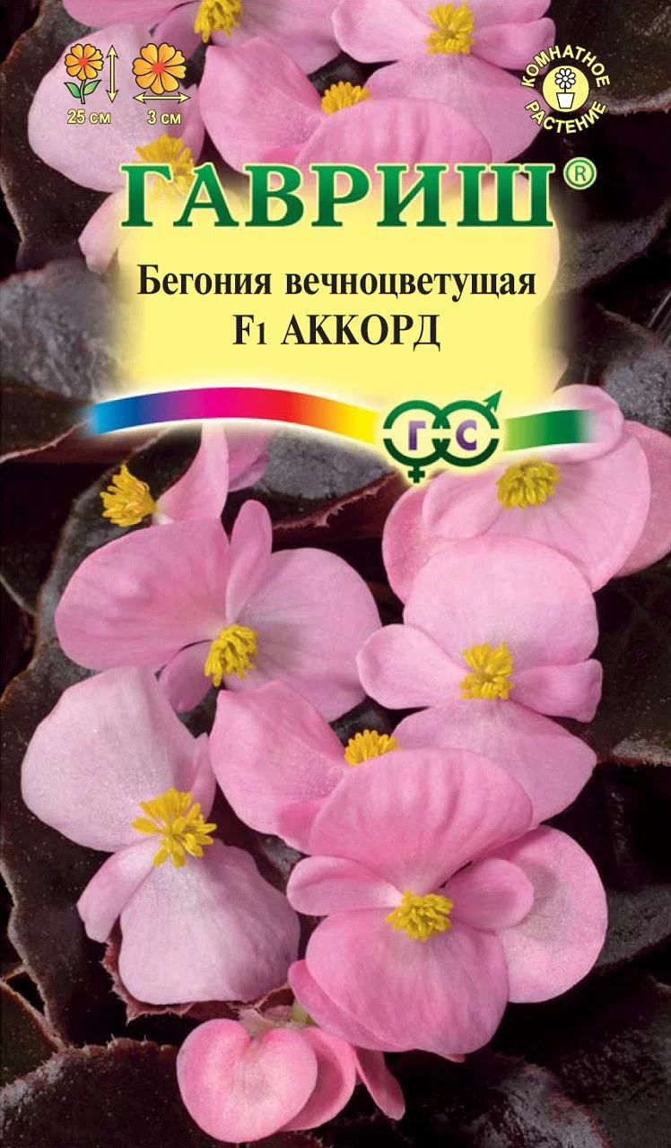 Бегония Аккорд F1 вечноцв. гранул. 5 шт пробирка