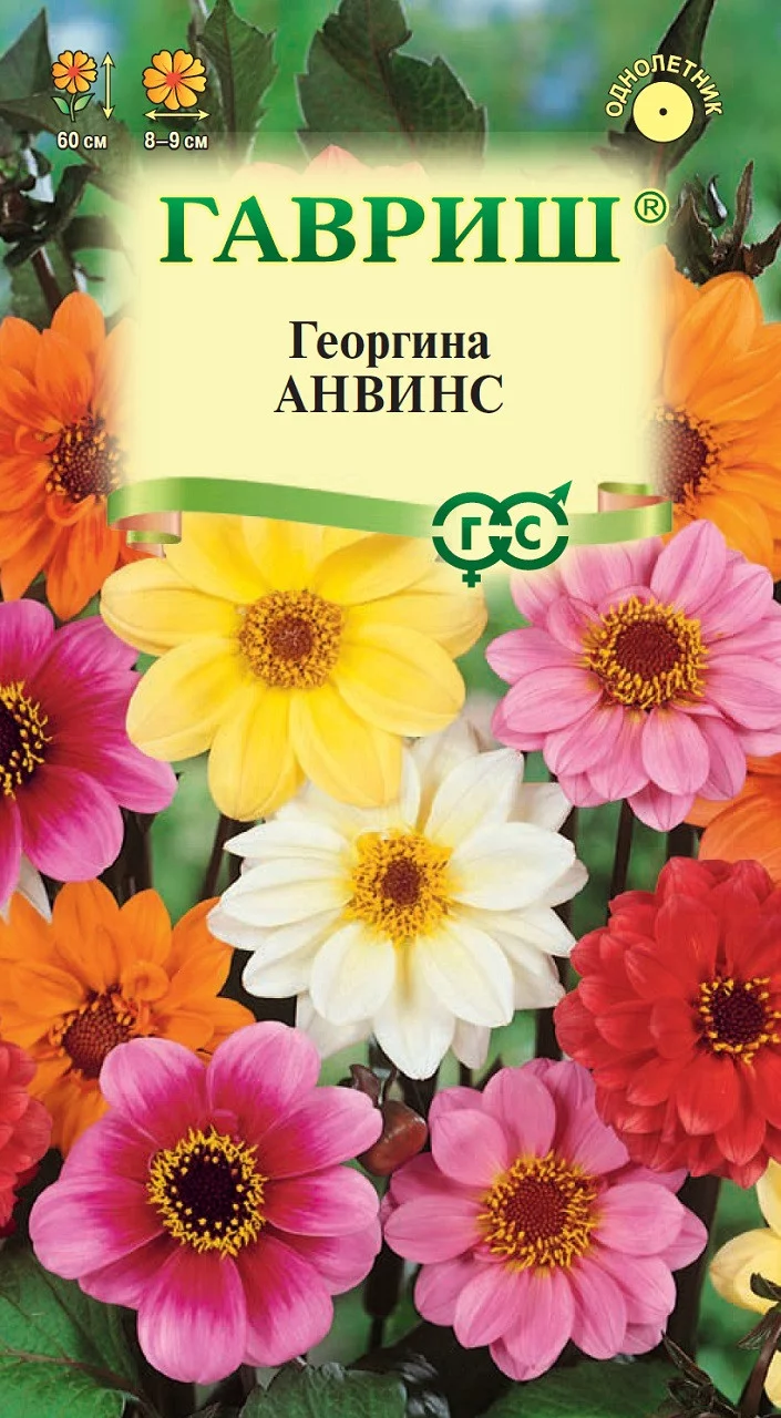 Георгина Анвинс, смесь 0,3 г DH