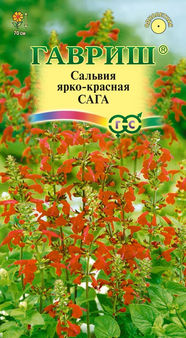 Сальвия Сага ярко-красная * 0,05 г