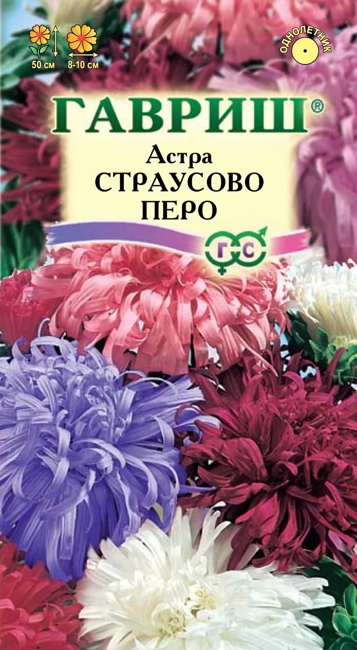 Астра Страусово перо Лазурит, однолетняя 0,3 г