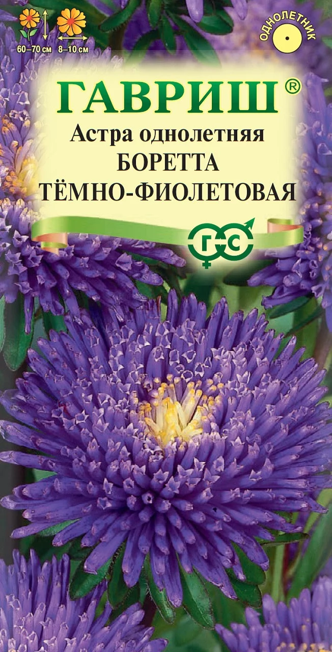 Астра Боретта темно-фиолетовая, однолетняя (принцесса) 0,3 г