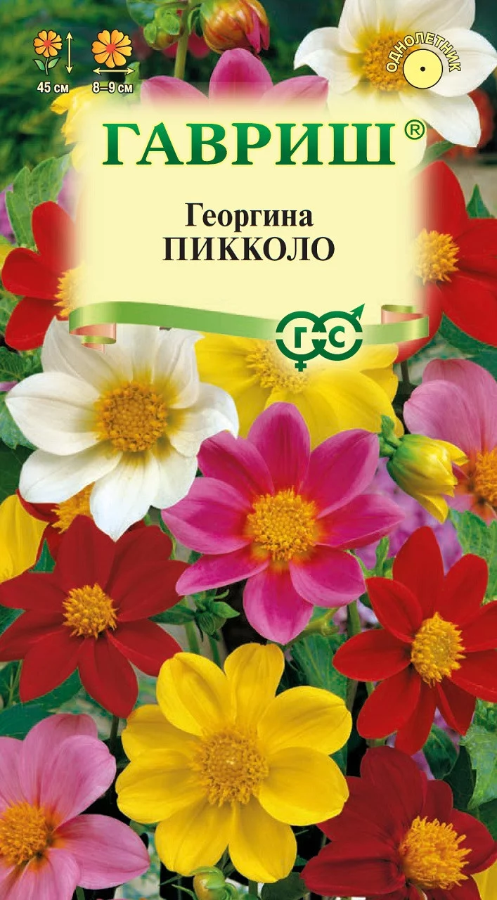 Георгина Пикколо, смесь 0,3 г DH