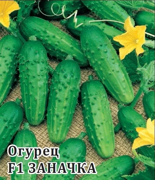 Огурец Заначка F1 серия 1+1/20 шт автор