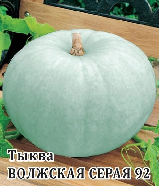 Тыква Волжская серая 92 2 г