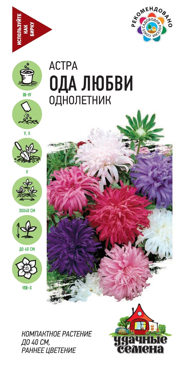Астра Ода любви, однолетняя (июльская смесь) 0,3 г Уд. с
