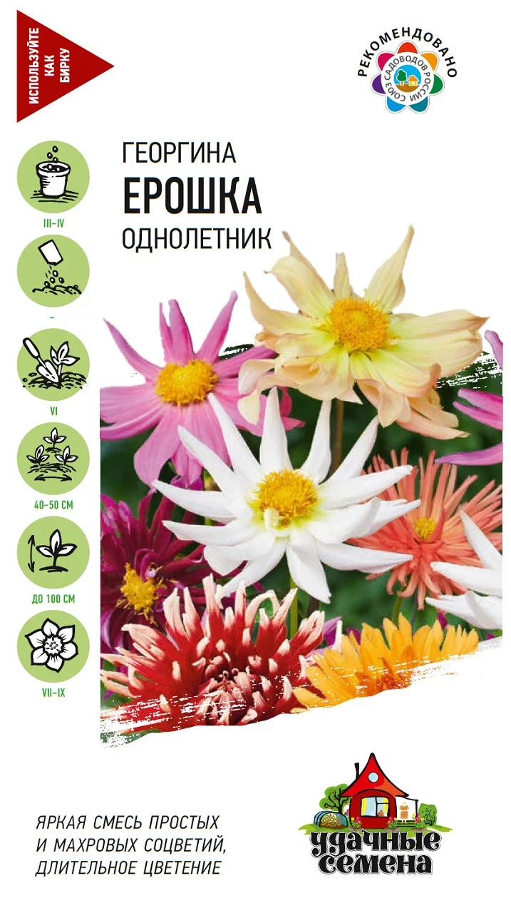 Георгина Ерошка, смесь 0,2 г Уд. с. DH