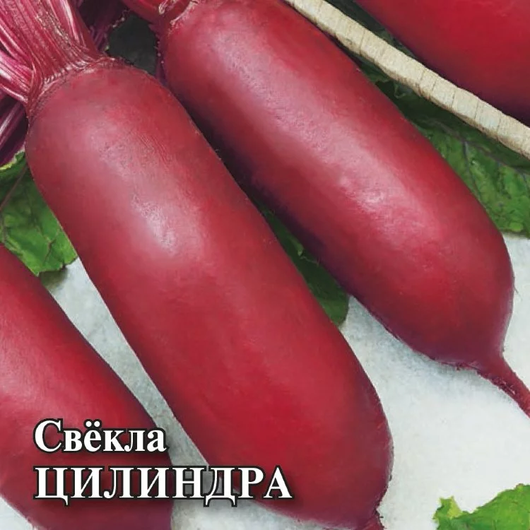 Свекла Цилиндра 3 г Уд. с