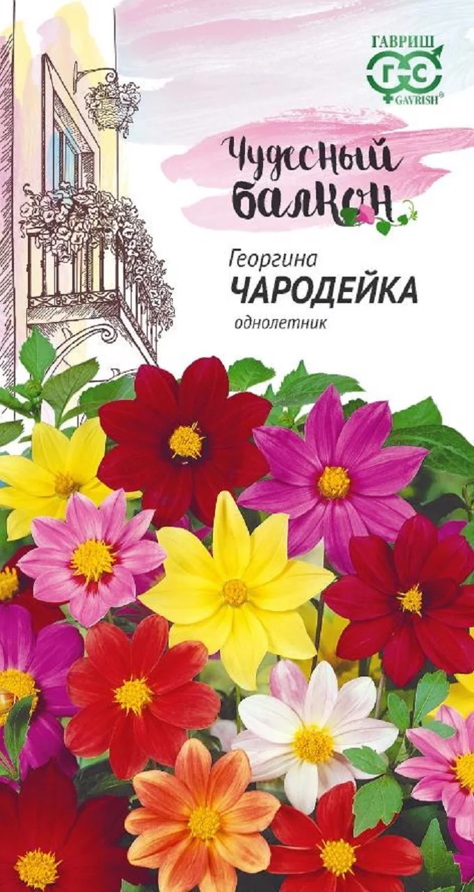 Георгина Чародейка, смесь 0,3 г серия Чудесный балкон