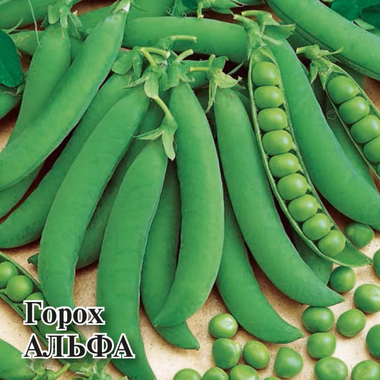 Горох Альфа 10 г