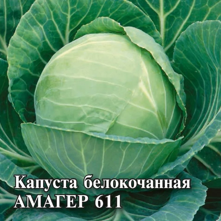 Капуста белокоч. Амагер 611 0,1 г (для хранения) с евроотв