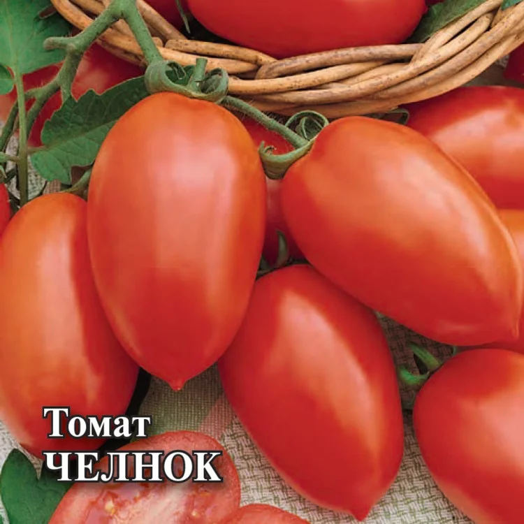 Томат Челнок 0,05 г с евроотв