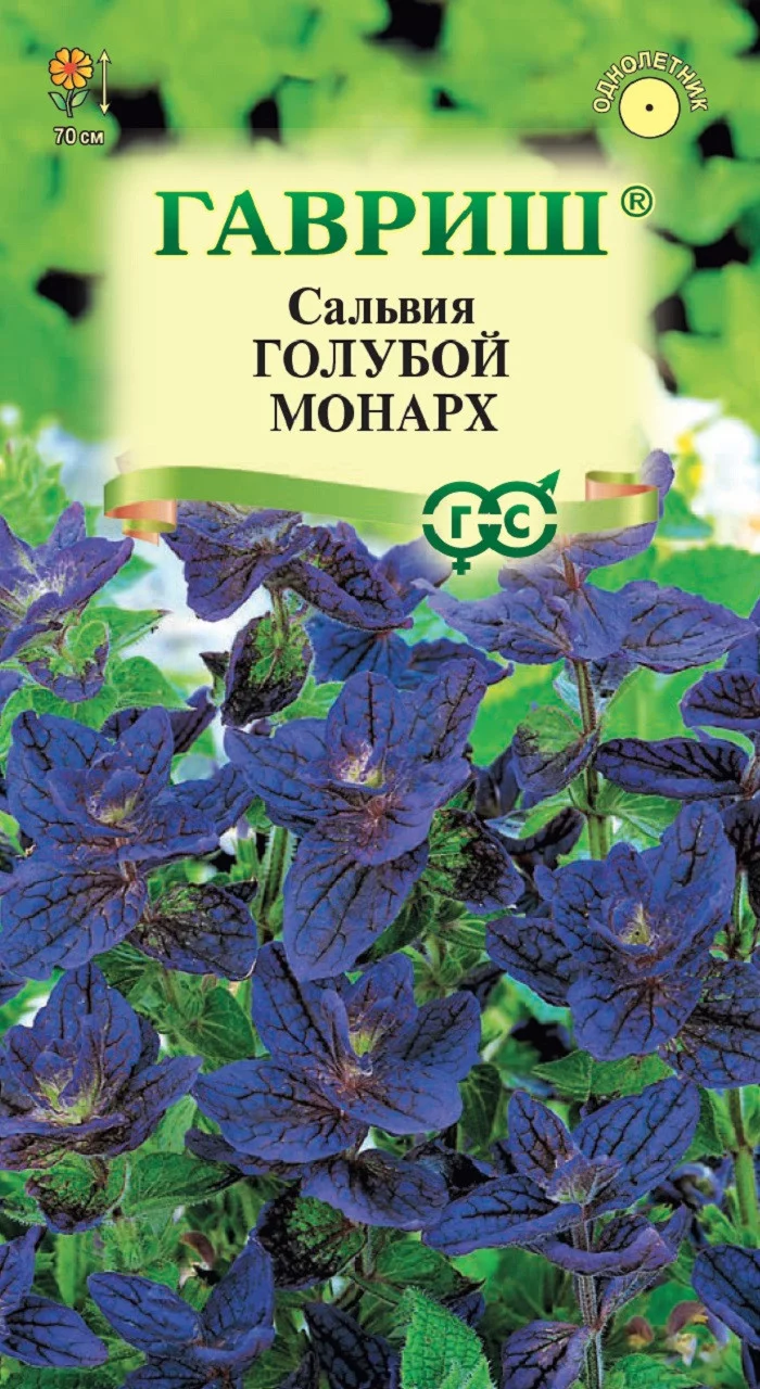 Сальвия Белый монарх (хорминум)* 0,05 г