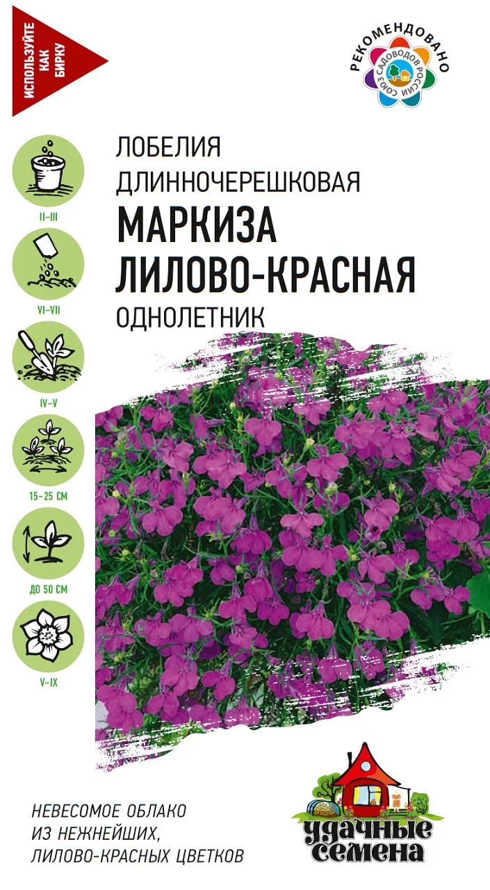 Лобелия Маркиза, ампельная * 0,01 г Уд. с. DH