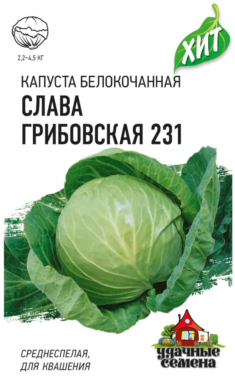 Капуста белокоч. Слава Грибовская 231 0,5 г (для квашения)