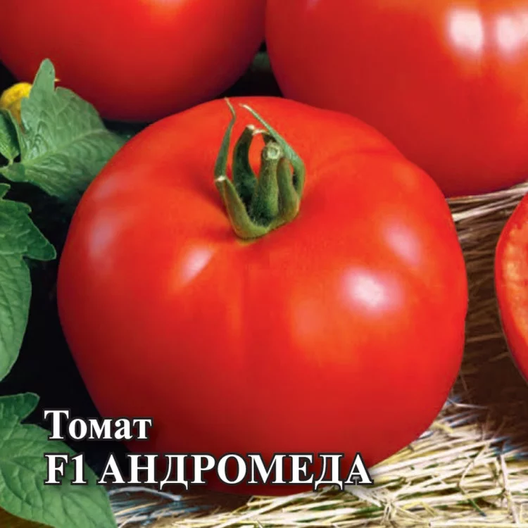 Томат Андромеда F1 0,05 г