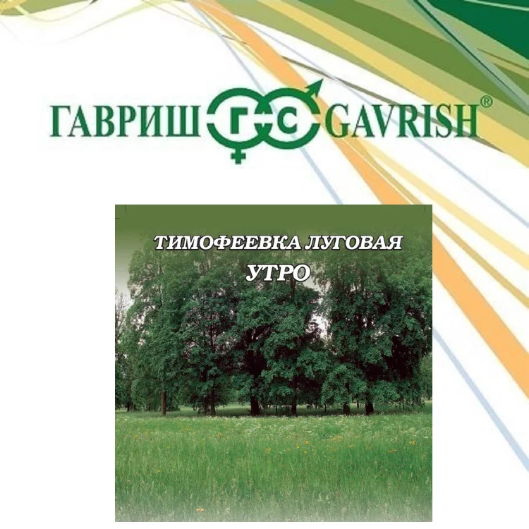 Тимофеевка Утро (сидерат), семена газ. трав, больш. пак. 20 г