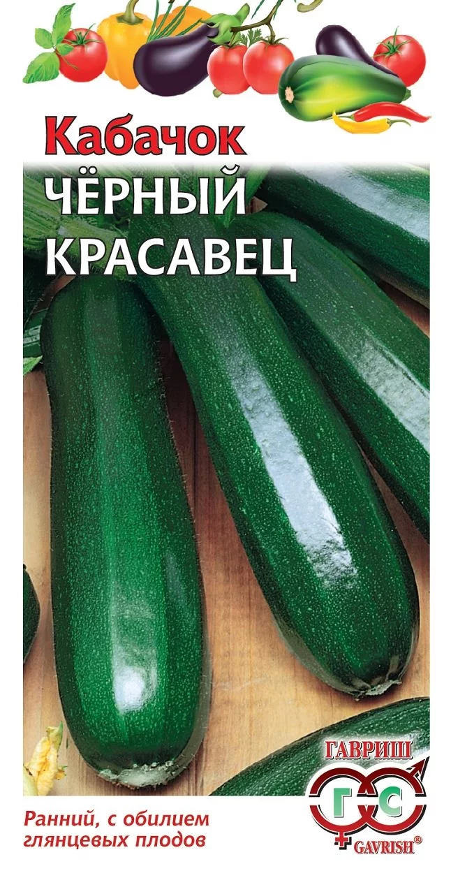 Кабачок Черный красавец 1,5 г ХИТ х3