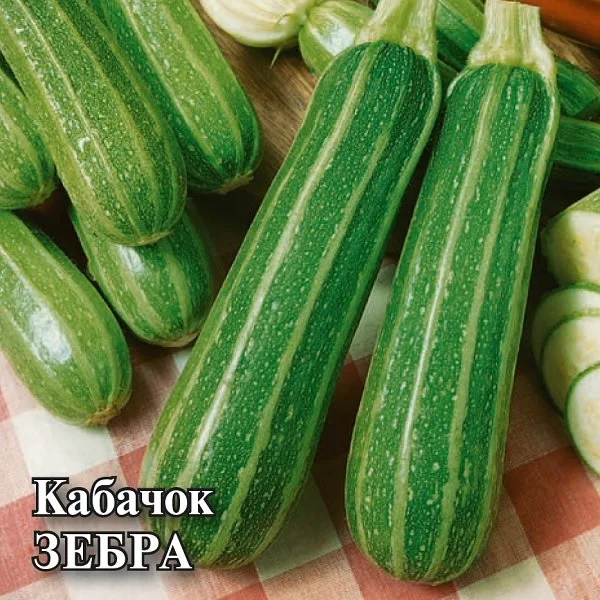 Кабачок Зебра 2 г