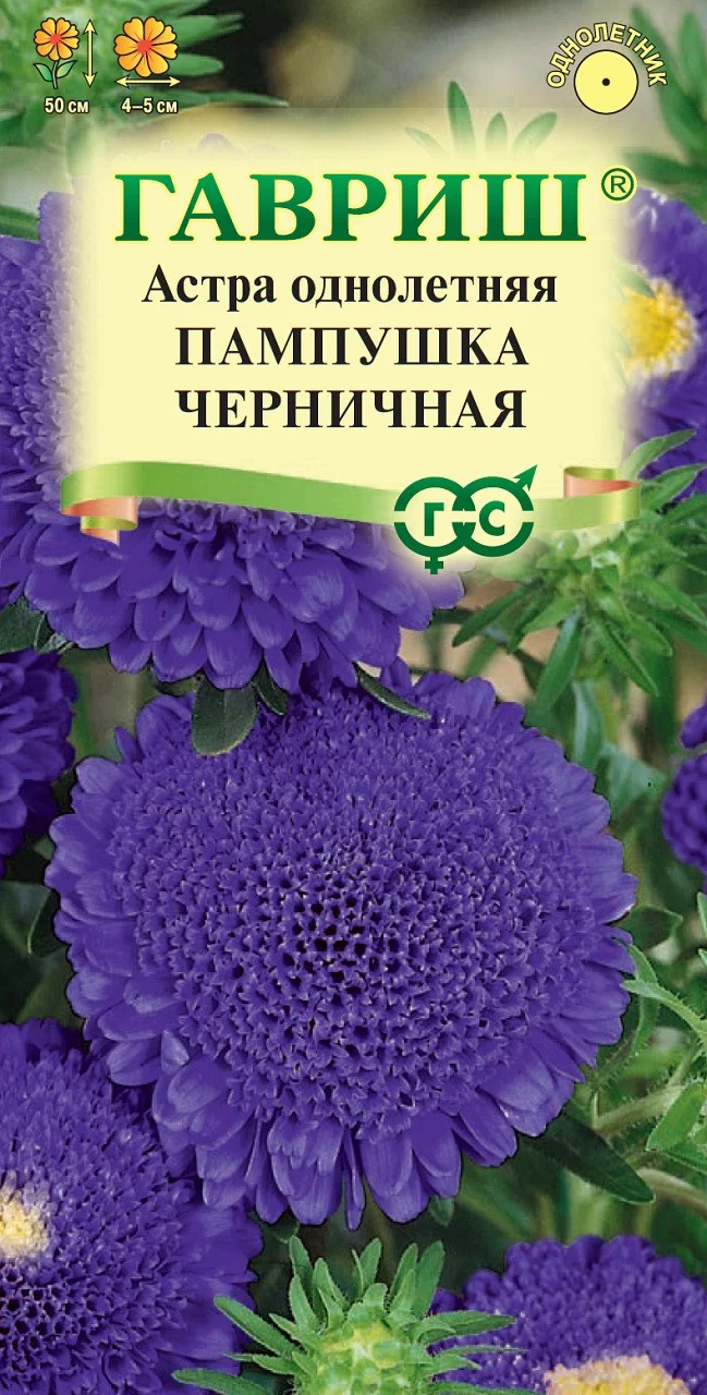 Астра Пампушка черничная, однолетняя (помпонная) 0,3 г