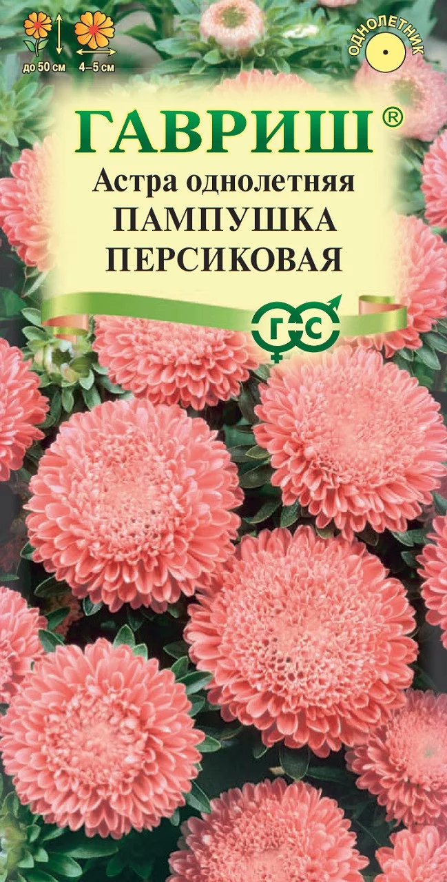 Астра Пампушка персиковая, однолетняя (помпонная) 0,3 г