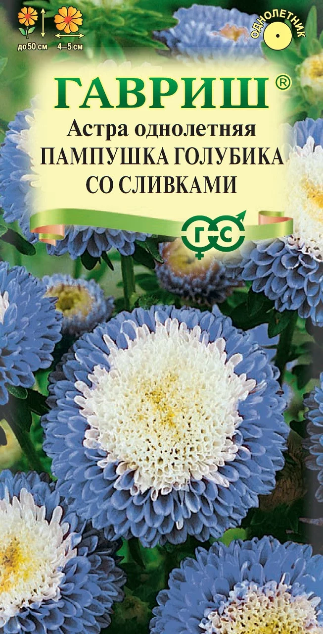 Астра Пампушка голубика со сливками, однолетняя (помпонная) 0,3 г