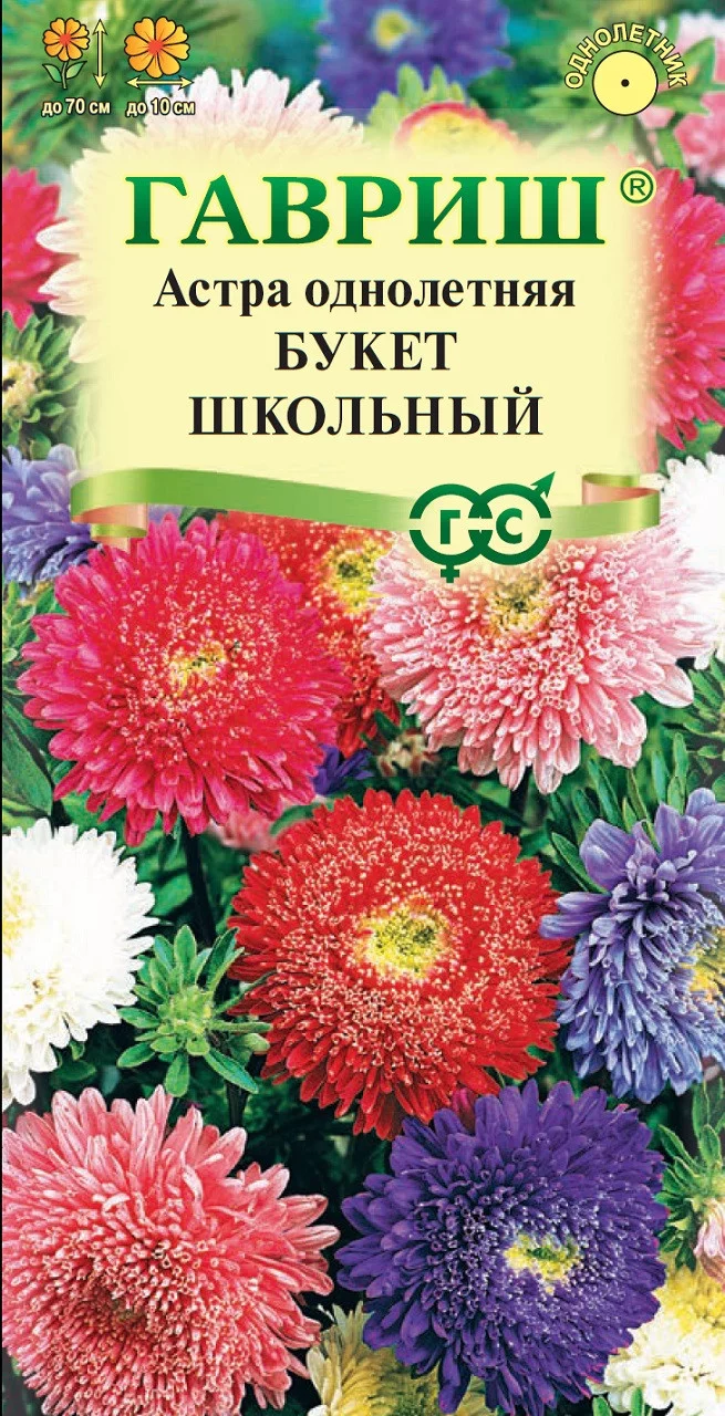 Астра Букет школьный, однолетняя (срезочная смесь) 0,3 г